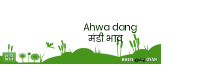 Mandi Image